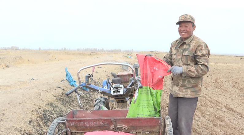 粮食安全战略，构建可持续、安全的粮食供应体系，粮食安全战略，构建可持续、安全的粮食供应体系新篇章